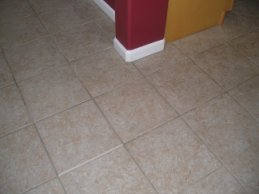 Grout Cleaning Before